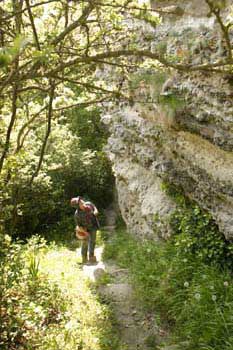 Cripple Path, Niton