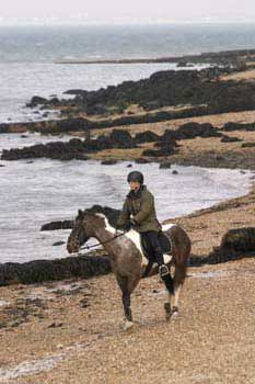 East Cowes beach with horse