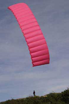 Kite flying at Brighton
