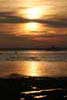 Solent sunset