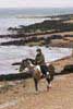 East Cowes beach with horse