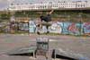 Skateboarder